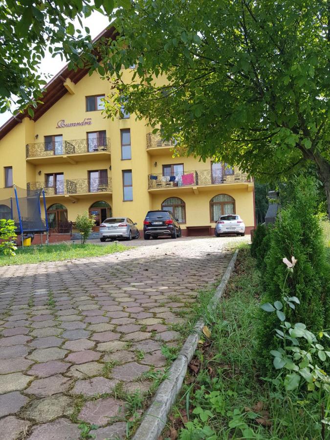 Pensiunea Ruxandra Baile 1 Mai Exterior photo